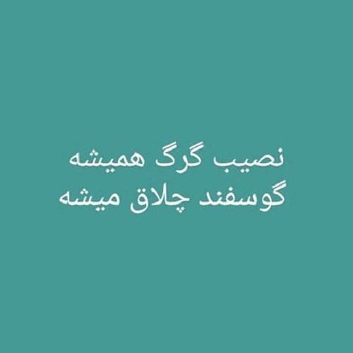 عکس نوشته گرگ باش با متن پروفایل