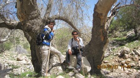 گروه گردشگری و کوهنوردی باچان توریسم