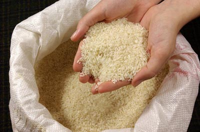 فروشندگان برنج