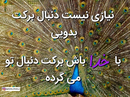 عکس نوشته برکت خدا برای پروفایل