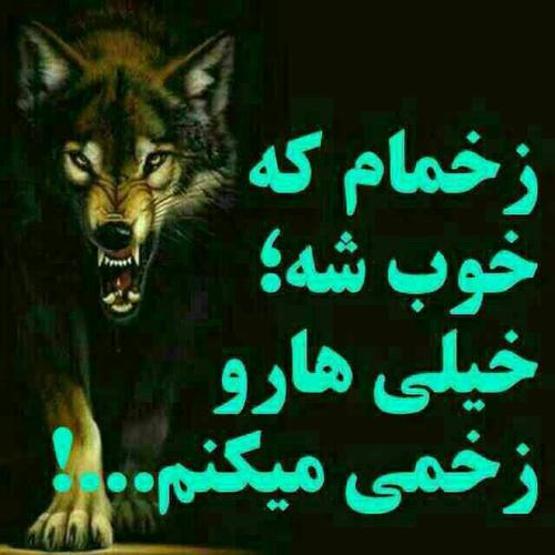 عکس نوشته زخمام که خوب بشه برا پروفایل