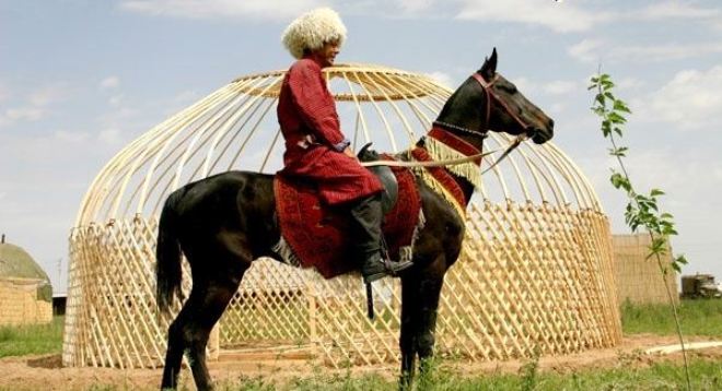 اسب ترکمن 101