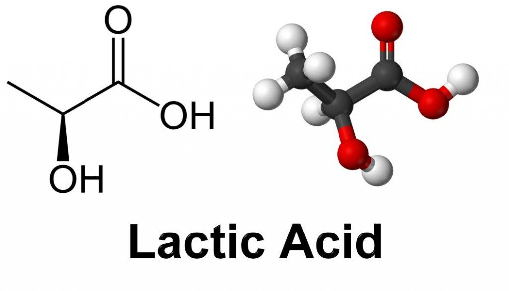 اسید لاکتیک چیست؟چگونه با تمرین اسید لاکتیک چربی سوزی کنیم؟
