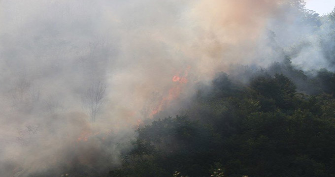 آتش‌سوزی در ارتفاعات شاهوار مهار شد