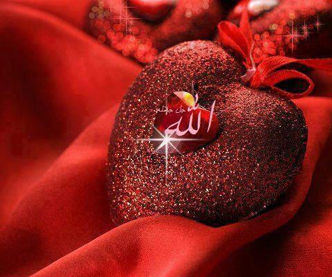 صفحه اصلی