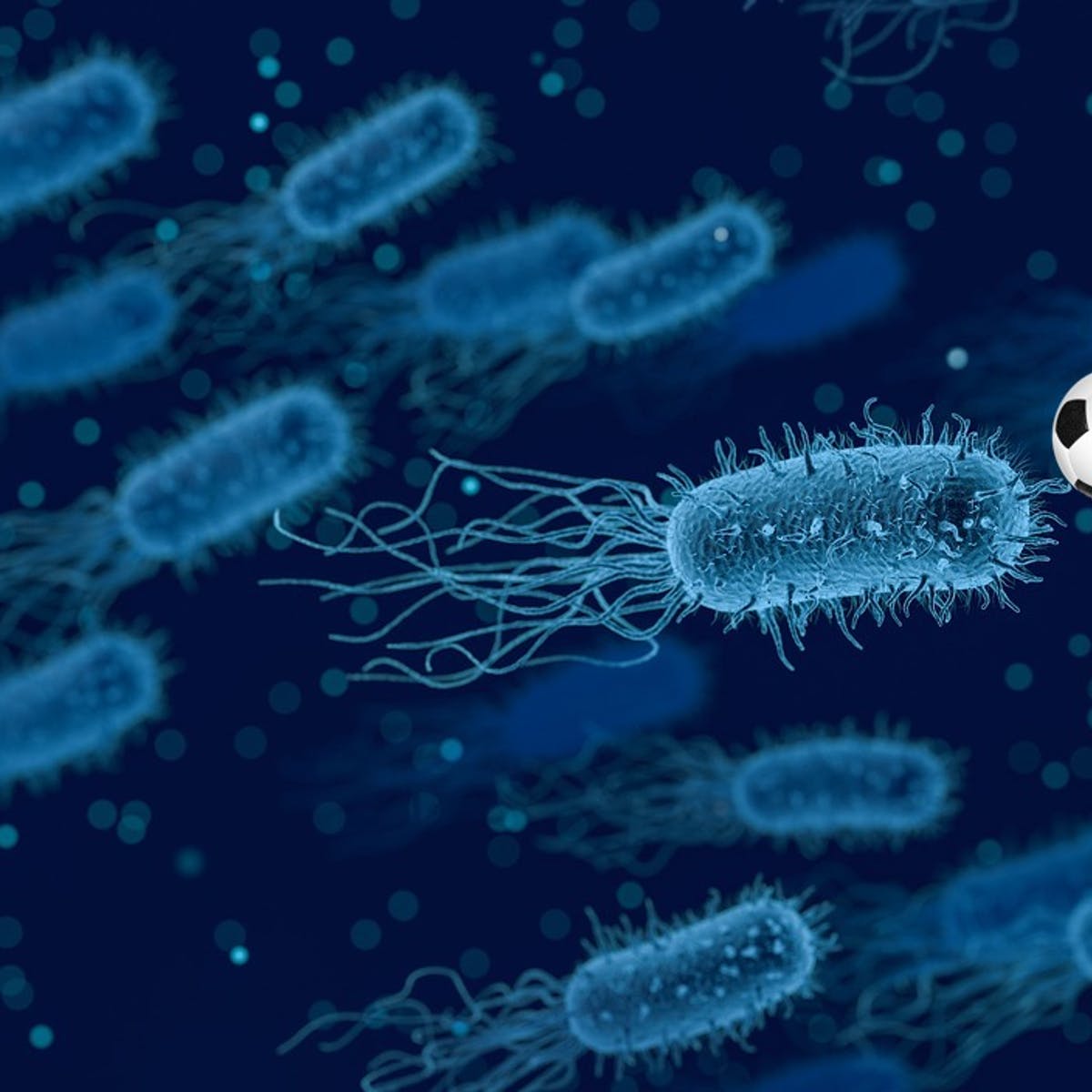 بیماری های ناشی از باکتریها و میکروبی(عوامل بیولوژیکی زیان آور 2)