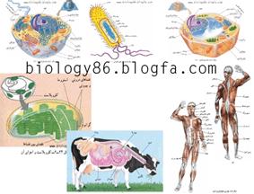 تصاویر کتاب زیست شناسی