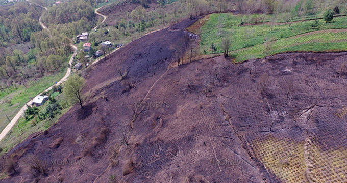 تصاویر هوایی از پایان آتش سوزی در جنگل های لاهیجان