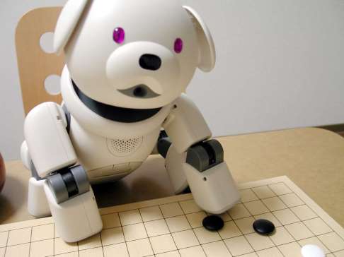 مراسم تشییع جنازه برای سگ های روباتیک در ژاپن!