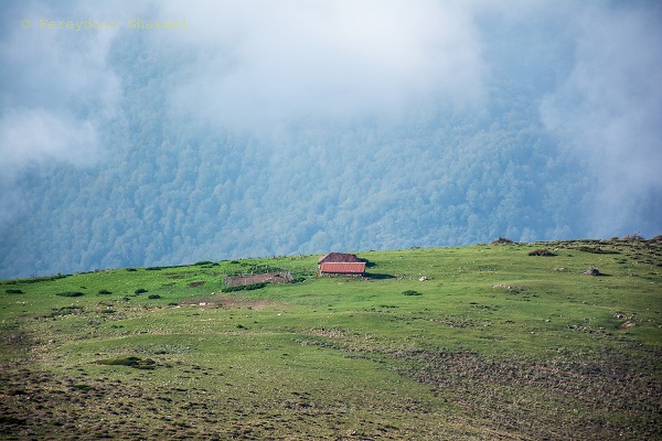 ارفع کوه