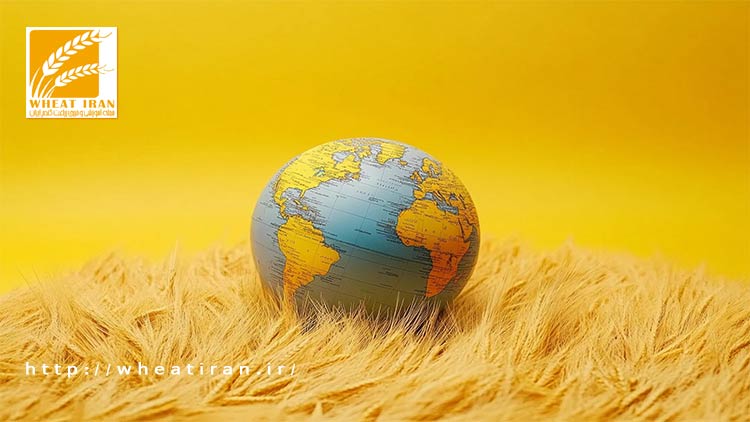 کاهش واردات اتحادیه اروپا، گندم اوکراینی را به بازارهای جایگزین سوق می‌دهد