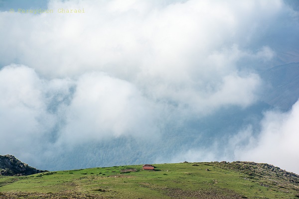 ارفع کوه 