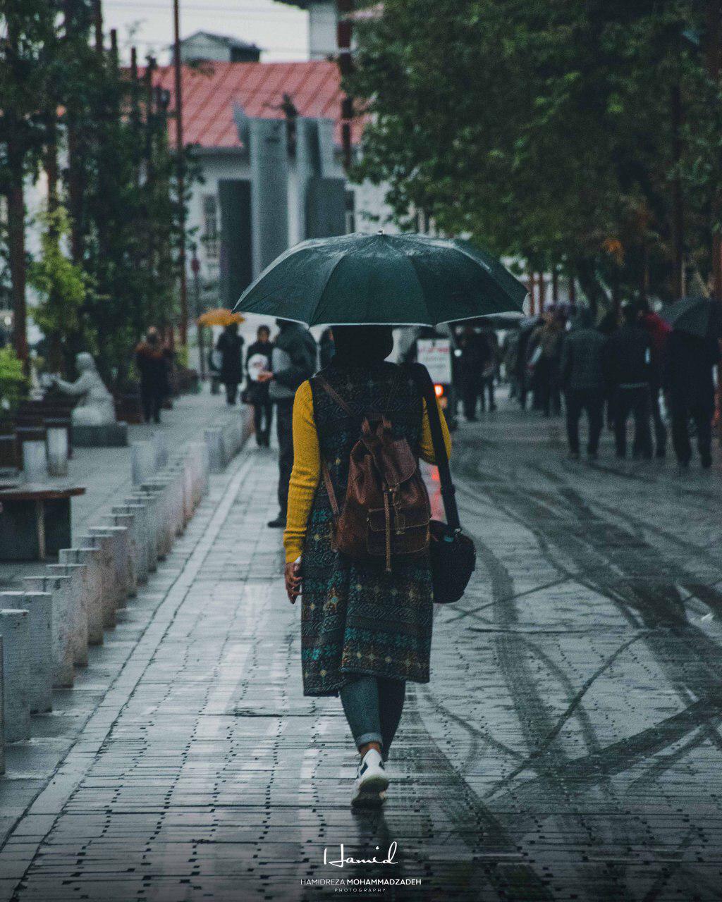 lovely lady with an umbrella