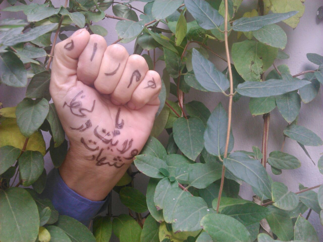 وبلاگ نویسان استان کرمانشاه به کمپین "#بسیجی_یعنی_" پیوستند