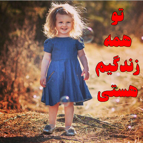 همه زندگیم هستی