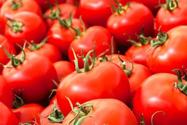 خواص گوجه فرنگی و روغن هسته گوجه فرنگی برای سلامت بدن