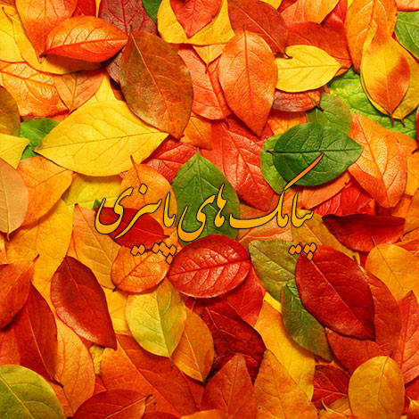 جدیدترین اس ام اس های احساسی مخصوص آغاز فصل پاییز 1395