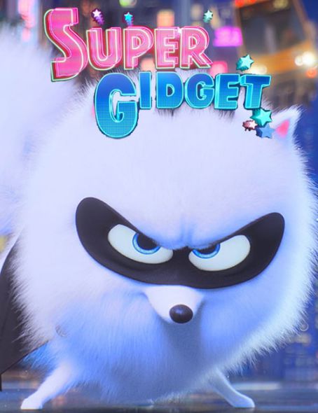 Super Gidget 2019