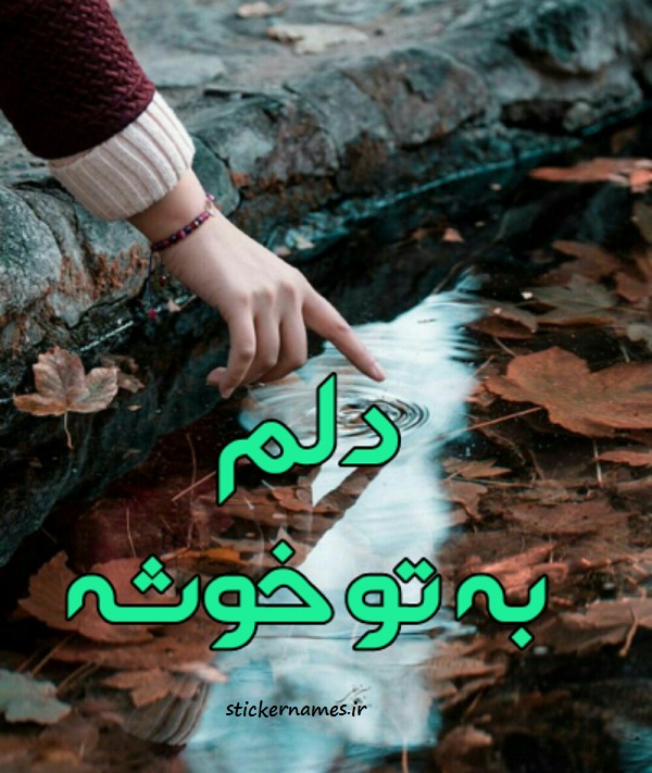 تصاویر دلم به تو خوشه