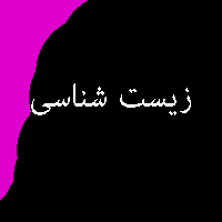 نمونه سوال پاسخ تمرین کتاب زیست شناسی پیش ی 3