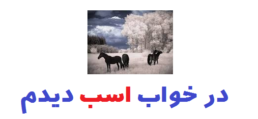 در خواب اسب دیدم