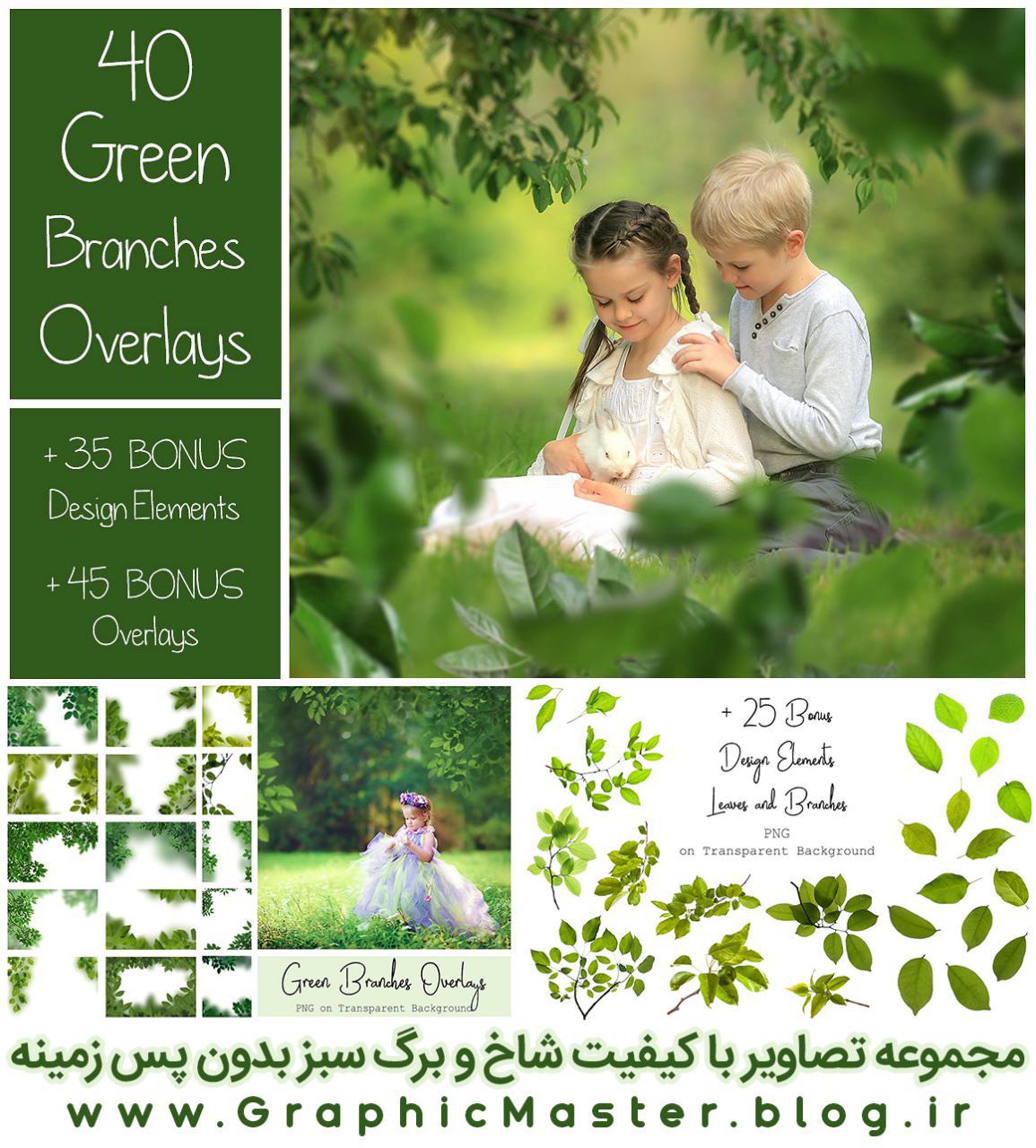 تصاویر با کیفیت شاخ و برگ سبز