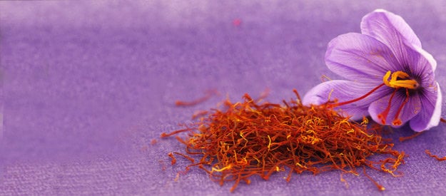 آموزش کاشت زعفران در گلدان به روش ساده