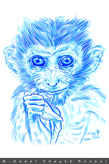 Macaque infant/ Borneo