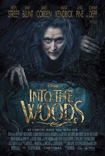 دانلود زیرنویس فارسی فیلم Into the Woods 2014