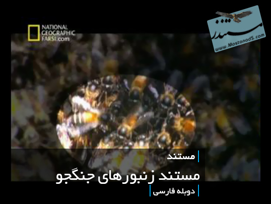 مستند زنبورهای جنگجو (دوبله فارسی)