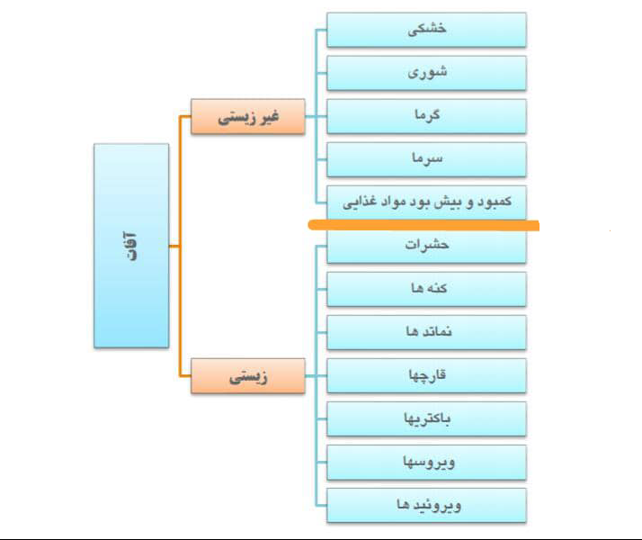 آفات گیاهی