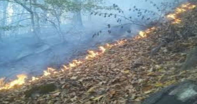 21هکتار از پارک ملی گلستان در آتش سوخت