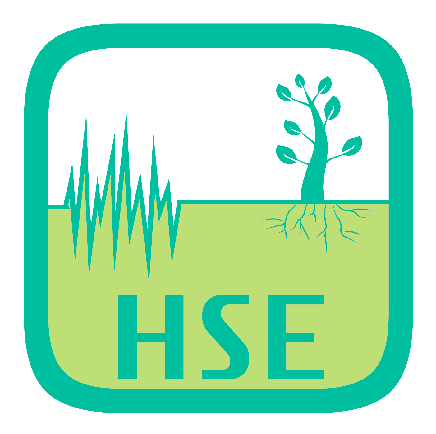 Home: سیستم  مدیریت بهداشت، ایمنی و محیط زیست(HSE)