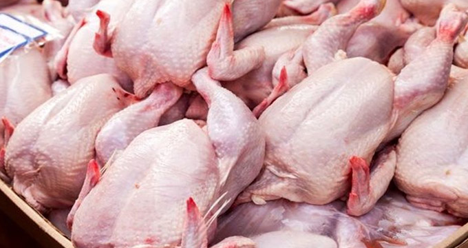 مرغ ارزان شد: قیمت مرغ با کاهش 600 تومانی