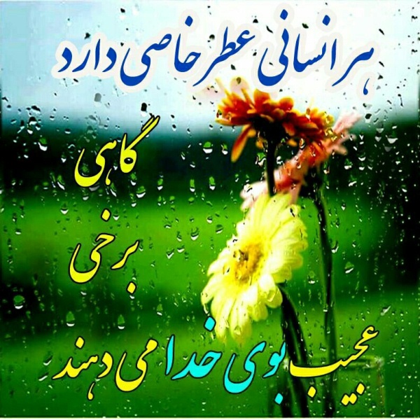 Image result for ‫بوی خدا‬‎