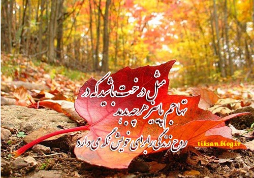 عکس نوشته های احساسی درباره پاییز با متن تیک سان