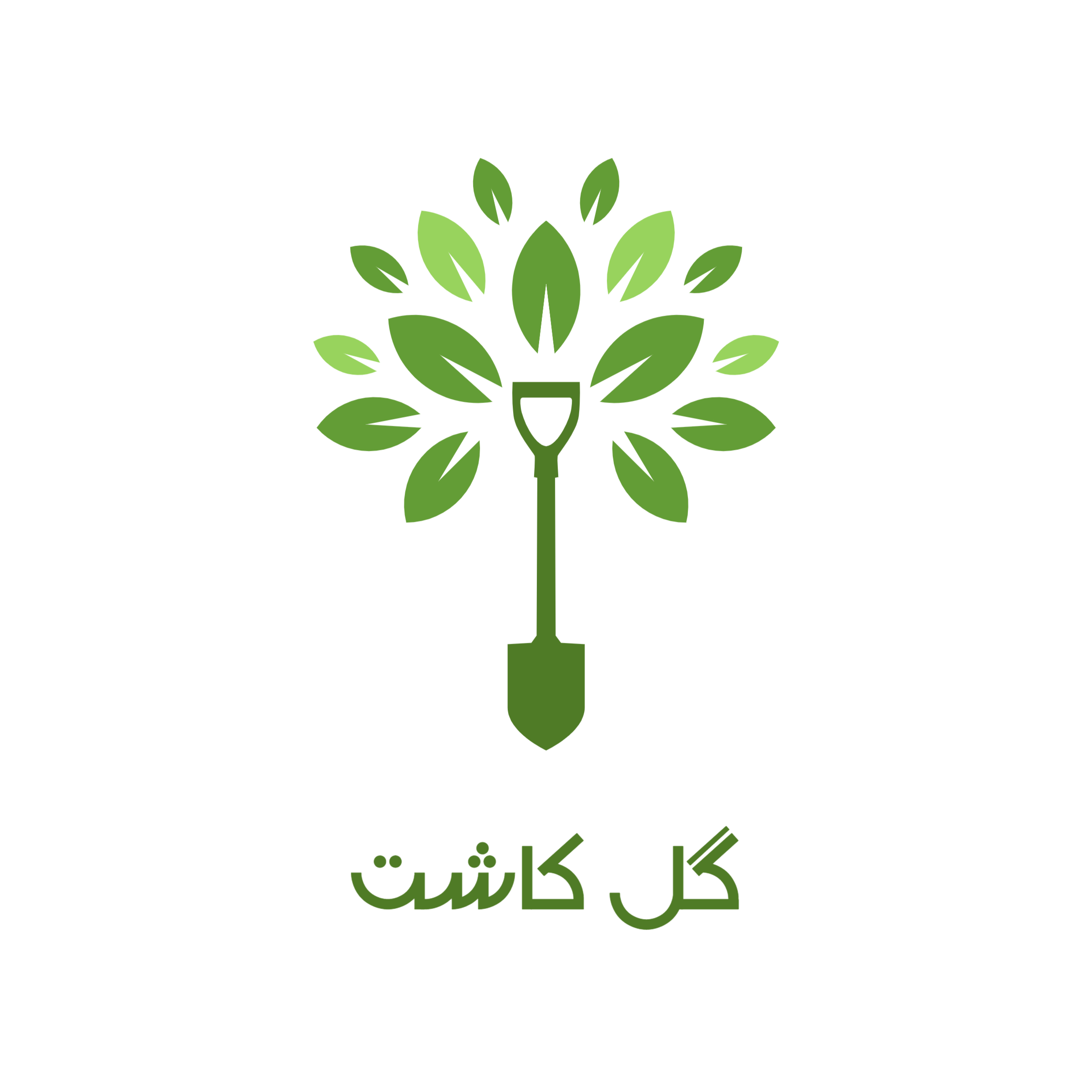 گروه تولیدی گل کاشت