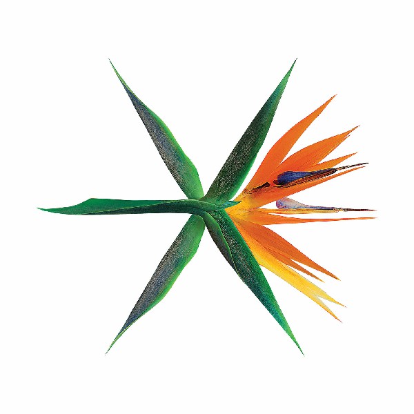 دانلود آلبوم EXO به نام (2017) - THE WAR - The 4th Album با کیفیت FLAC 🔥