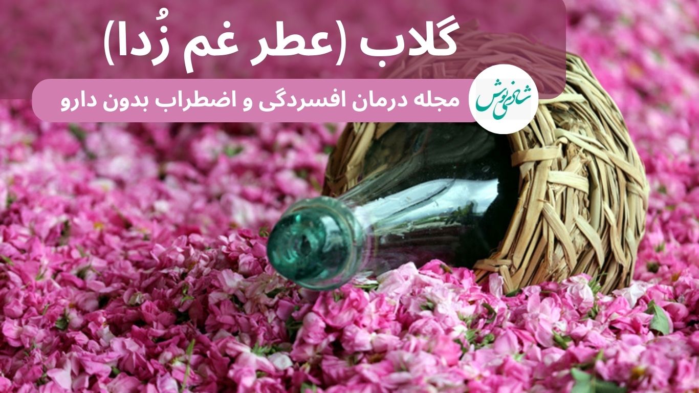 گلاب (عطر غم زدا)