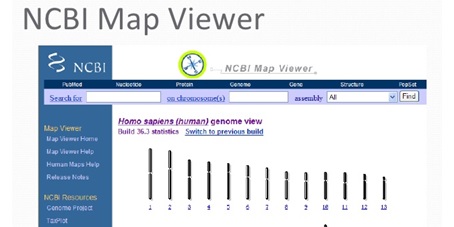 راهنمای استفاده از نرم افزار MapViewer