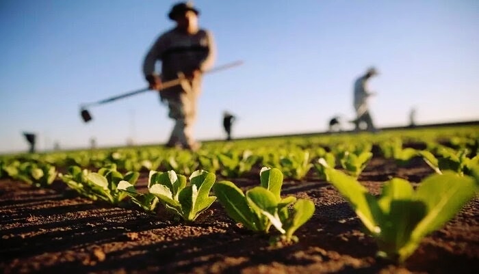 چرا طرح اصلاح الگوی کشت مورد نیاز است؟