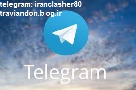 telgram logo