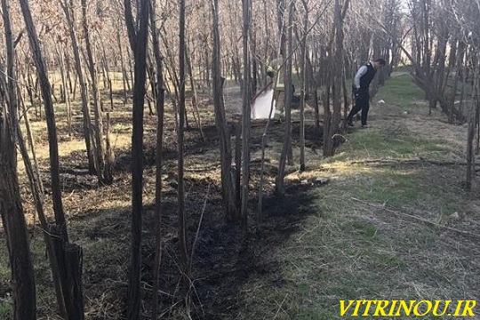 آتش سوزی آزادی،آزادی آتش گرفت، آتش‌سوزی در مجموعه ورزشی آزادی،آزاید در حریق،اخبار داغ،مجموعه ورزشی آزادی آتش‌سوزی