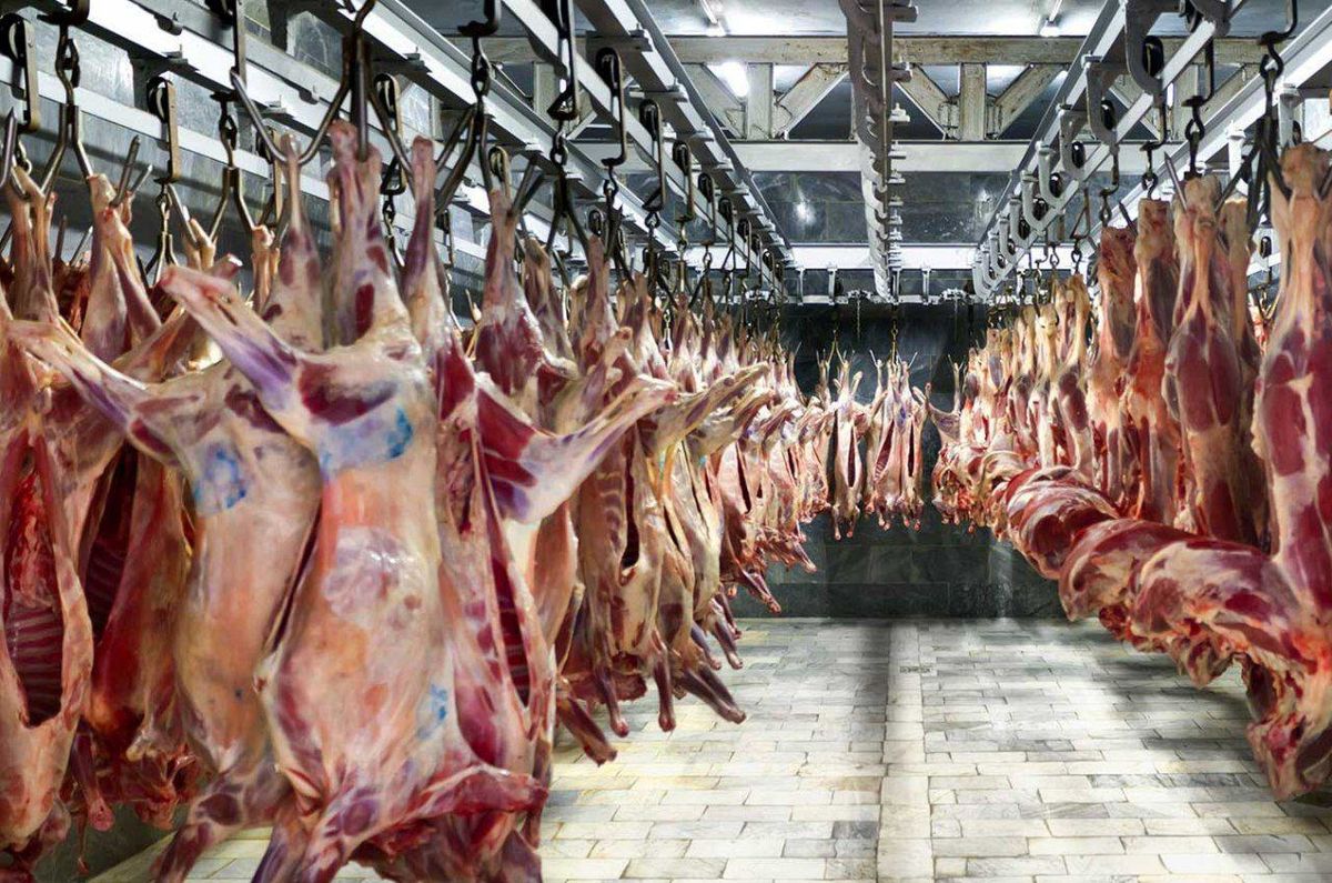 مردم در صف خرید گوشت تنظیم بازار| مسئولان: برای تأمین امنیت غذایی با کسی شوخی نداریم
