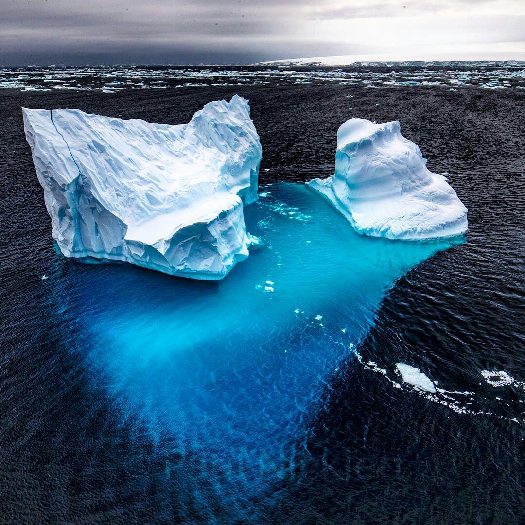 یخچال قطبی