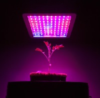 ماژول ال ای دی برای روشنایی گلخانه ای و رشد سریع گیاهان