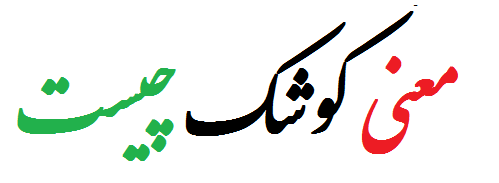 معنی کوشک چیست