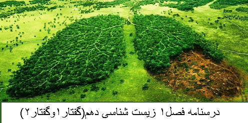 جزوه زیست شناسی دهم فصل1