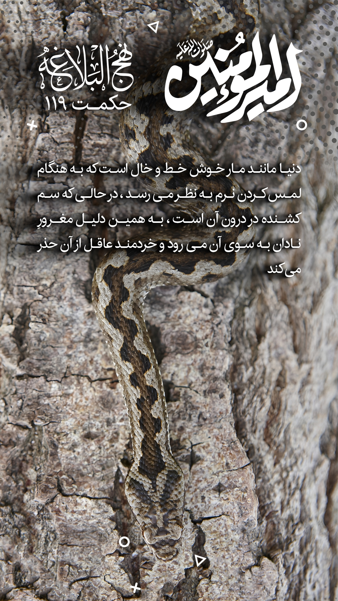 حکمت 119 نهج البلاغه