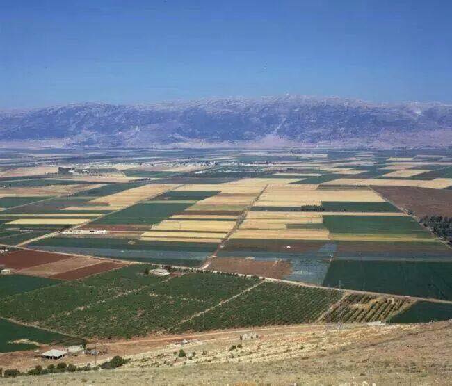 جهاد کشاورزی و صنعتی، راه حل مشکلات لبنان؟